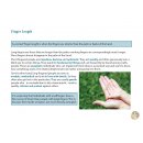 Face Reading Flashcards - Gestures - Hands in the face